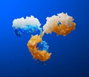 Multichain biotherapeutics: how to unlock their full potential