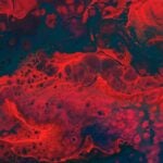 ExCellThera gains European authorization for UM171 Cell Therapy