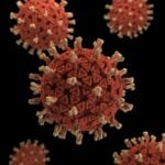 oncolytic virus therapy