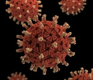 oncolytic virus therapy