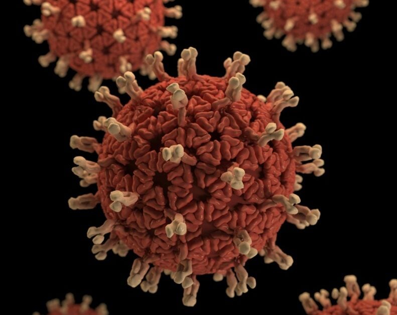 oncolytic virus therapy