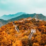 China biotech companies