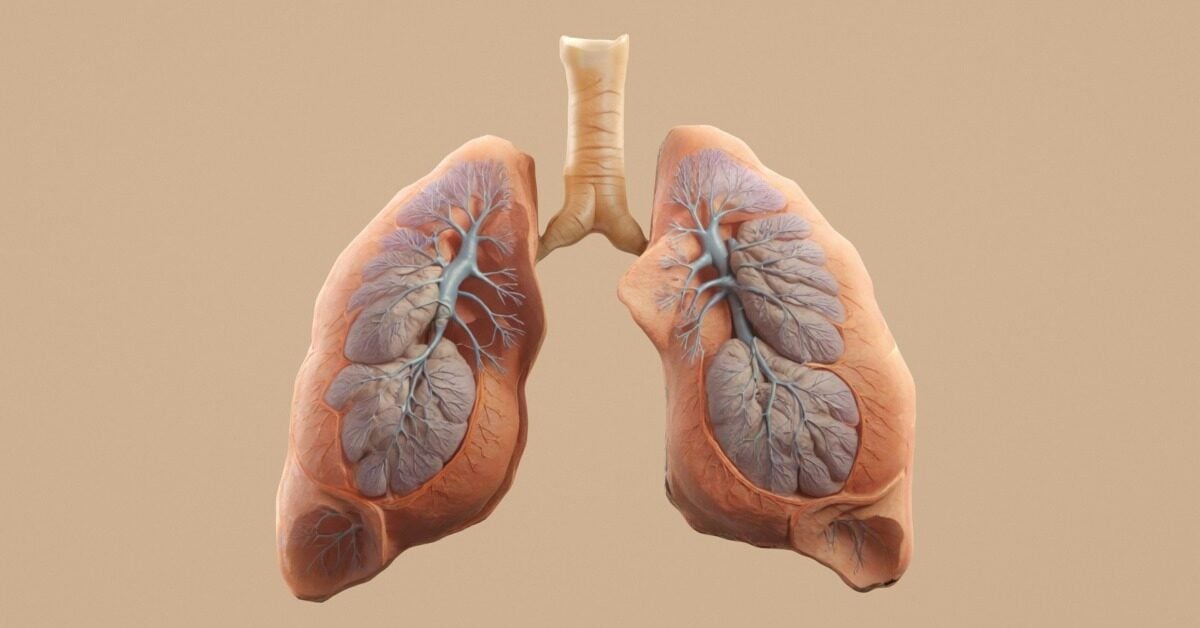 Lung scarring