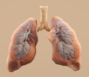 Lung scarring