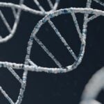 Cell and gene therapy