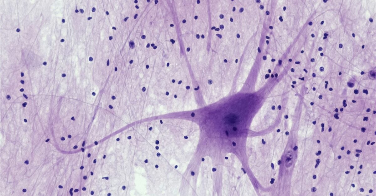 Is AKIGAI's EGFR inhibitor the next big thing in neuropathic pain