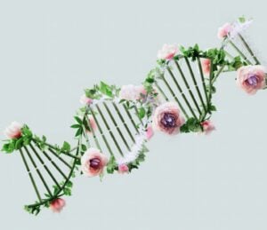 Gene therapy companies