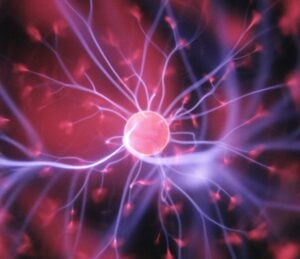 Neuroscience companies