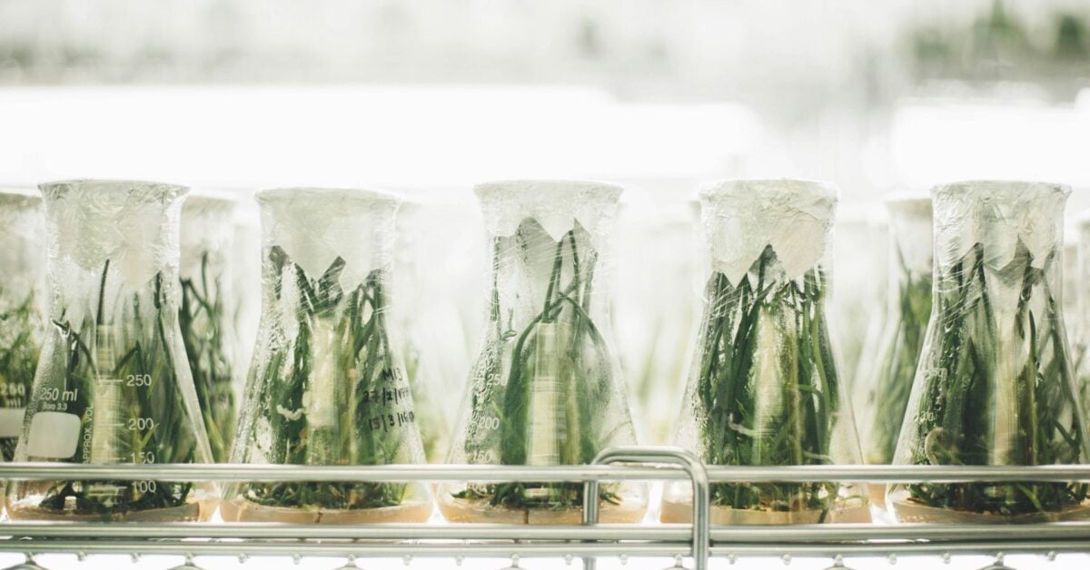 igem jamboree synthetic biology