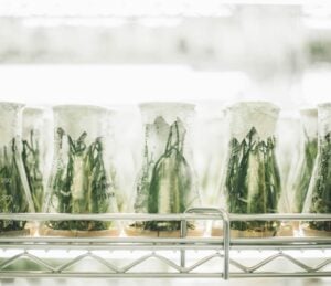 igem jamboree synthetic biology