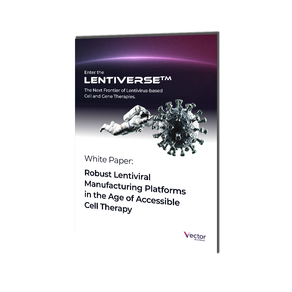 White Paper 3D Transparent Background